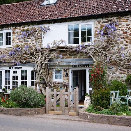 The Bark House Bed and Breakfast Oakford Εξωτερικό φωτογραφία